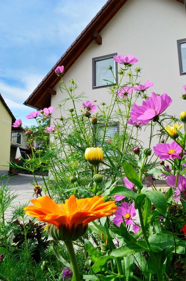 Haus Rosy Ferienwohnung Stubenberg Exterior photo